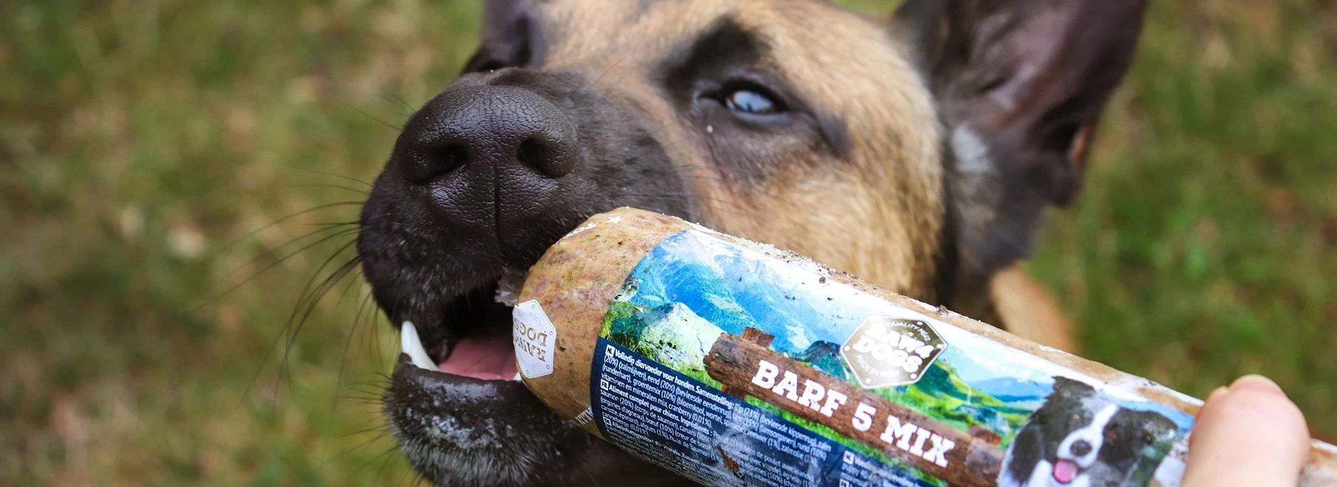 Privacyverklaring